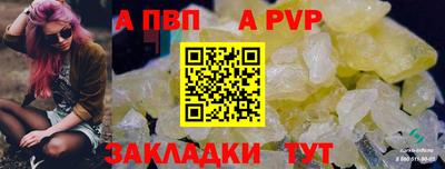 ешки Гай