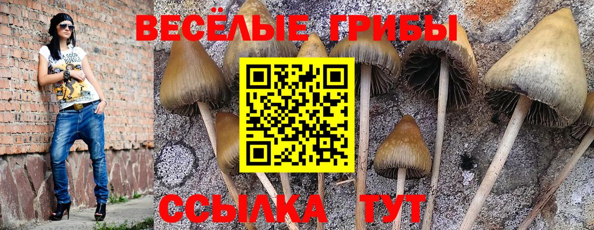 Галлюциногенные грибы прущие грибы Бутурлиновка